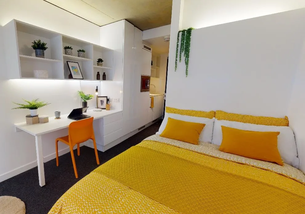 Get all the essential features in a medium studio at iQ Flinders House