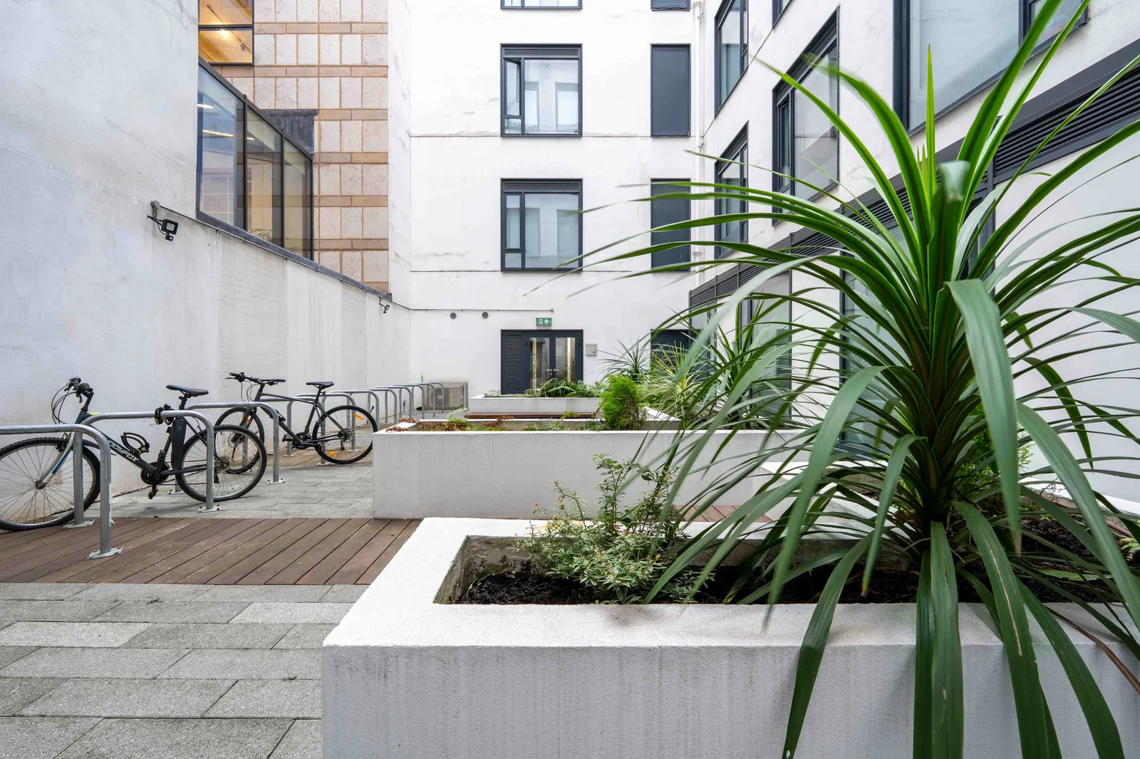 iQ Bloomsbury photo 16