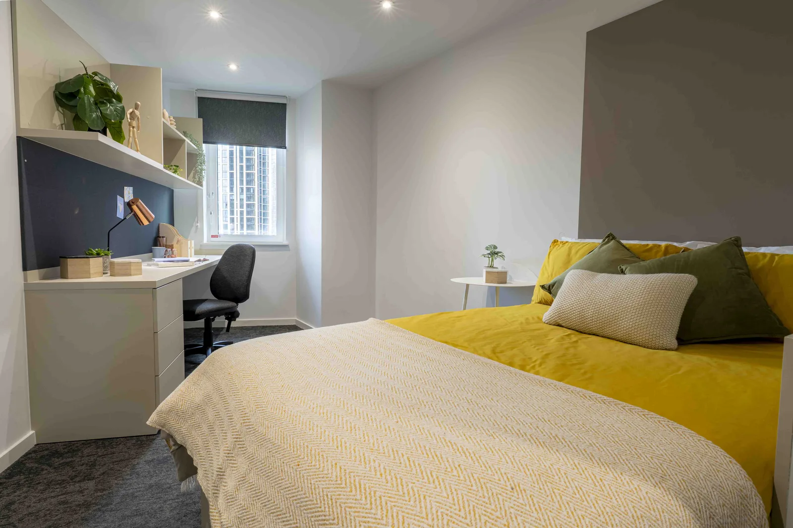 Bronze En Suite Premium at iQ Vega
