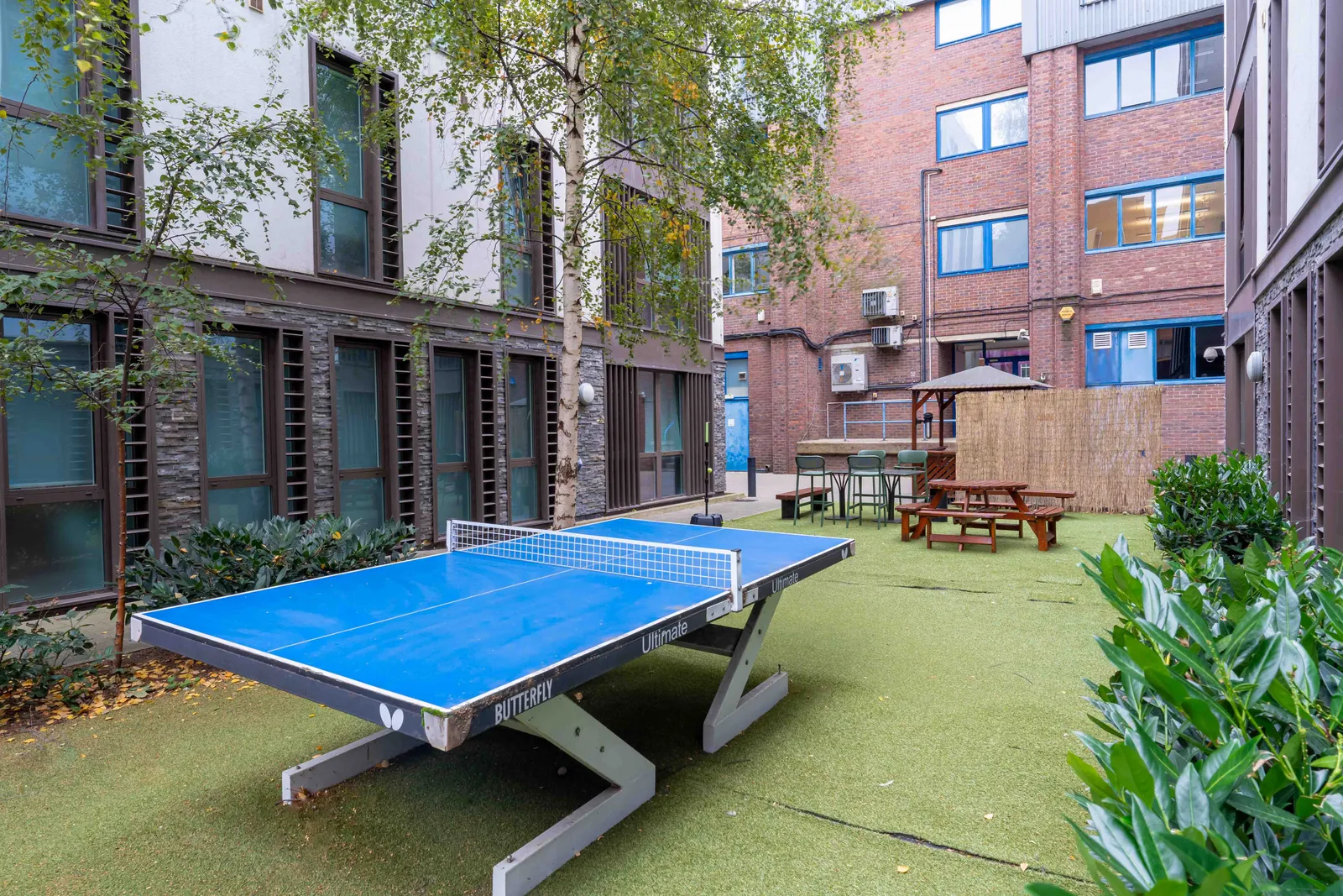 iQ Magenta House photo 9