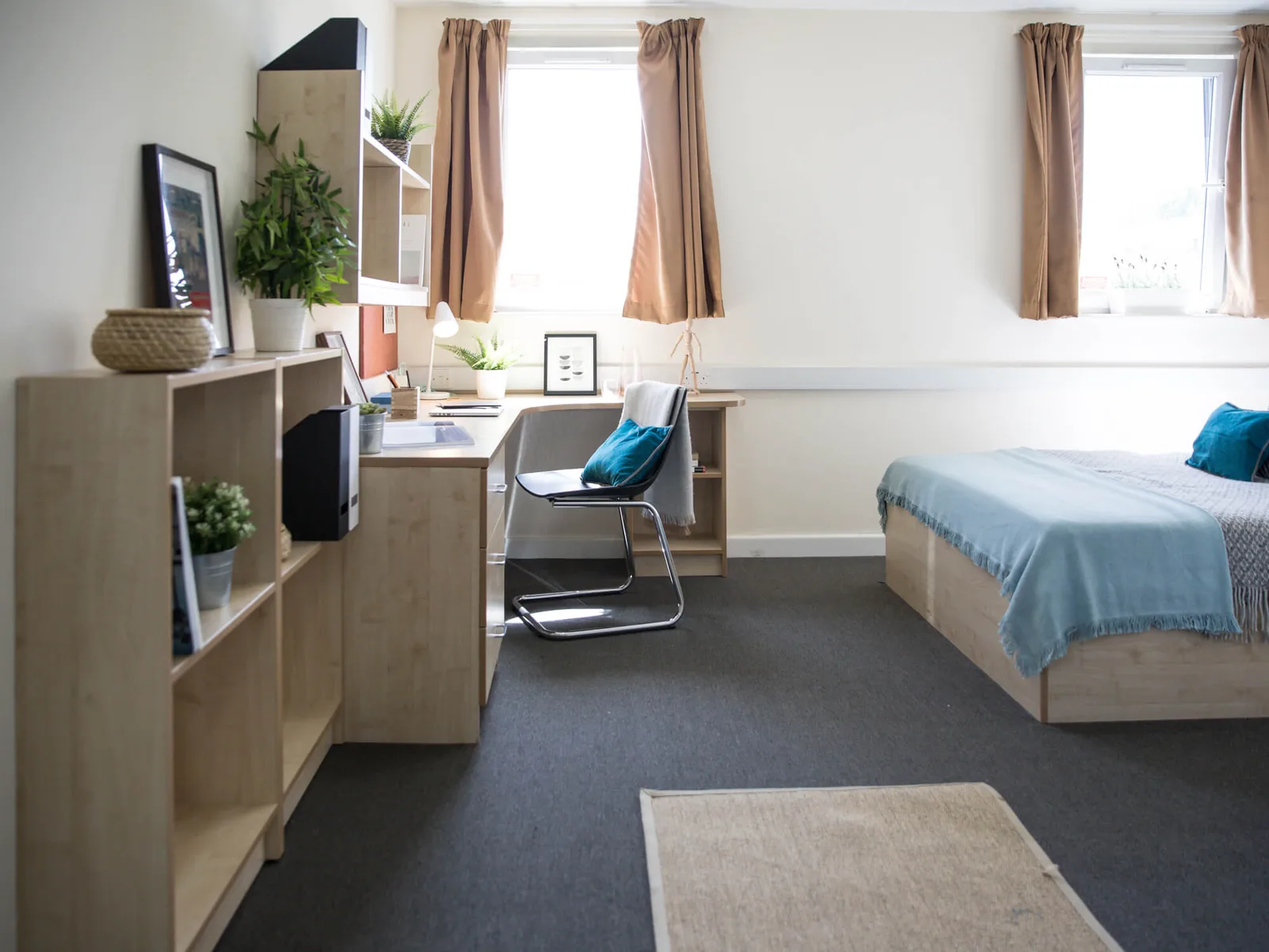 Ample space and more natural light in a platinum en suite at iQ Will Wyatt Court