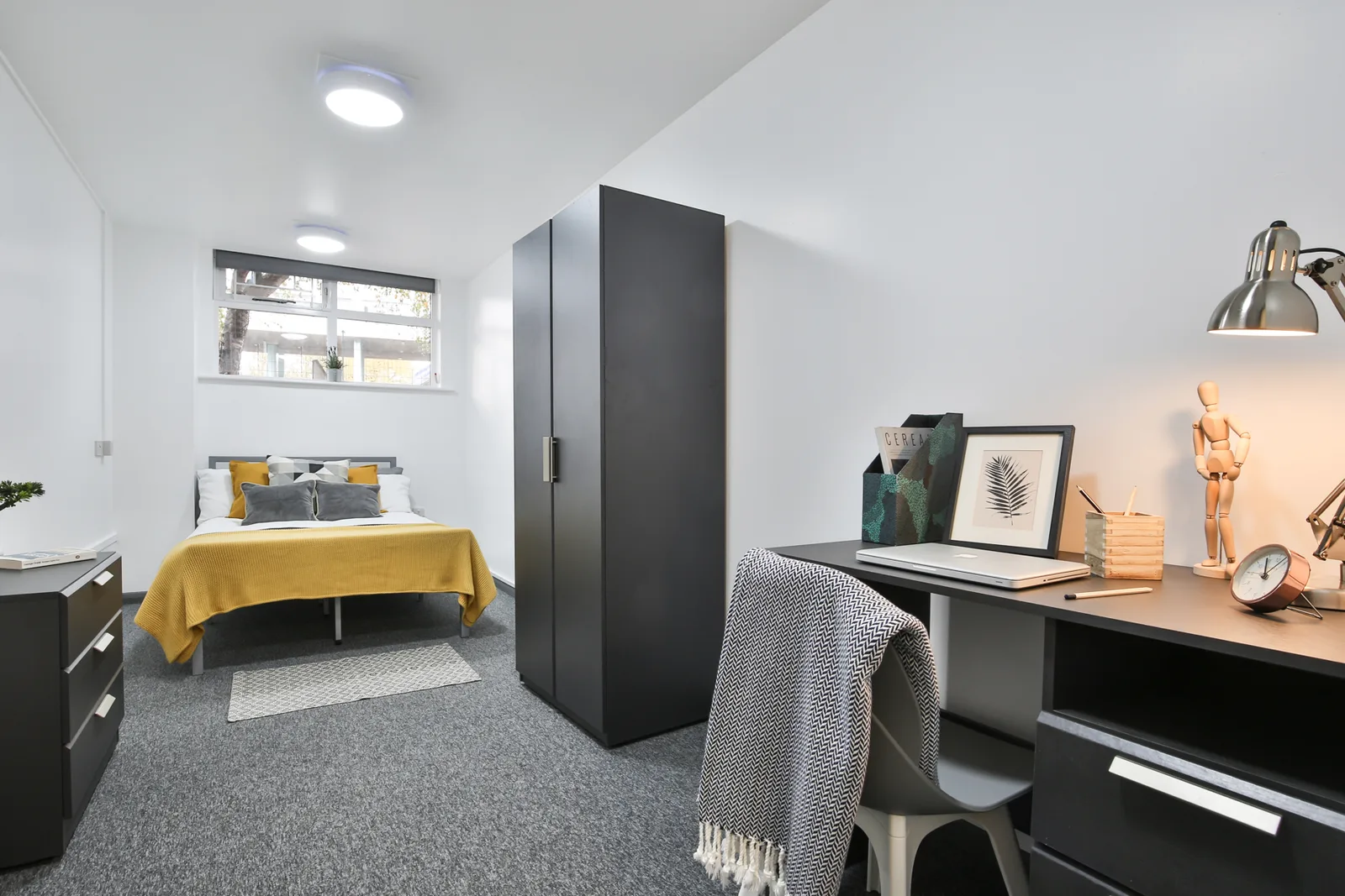 More space to live in our Gold room at iQ Stephenson House