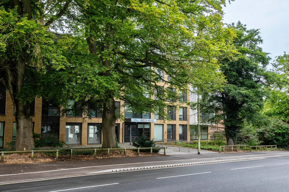 Beech House photo 7