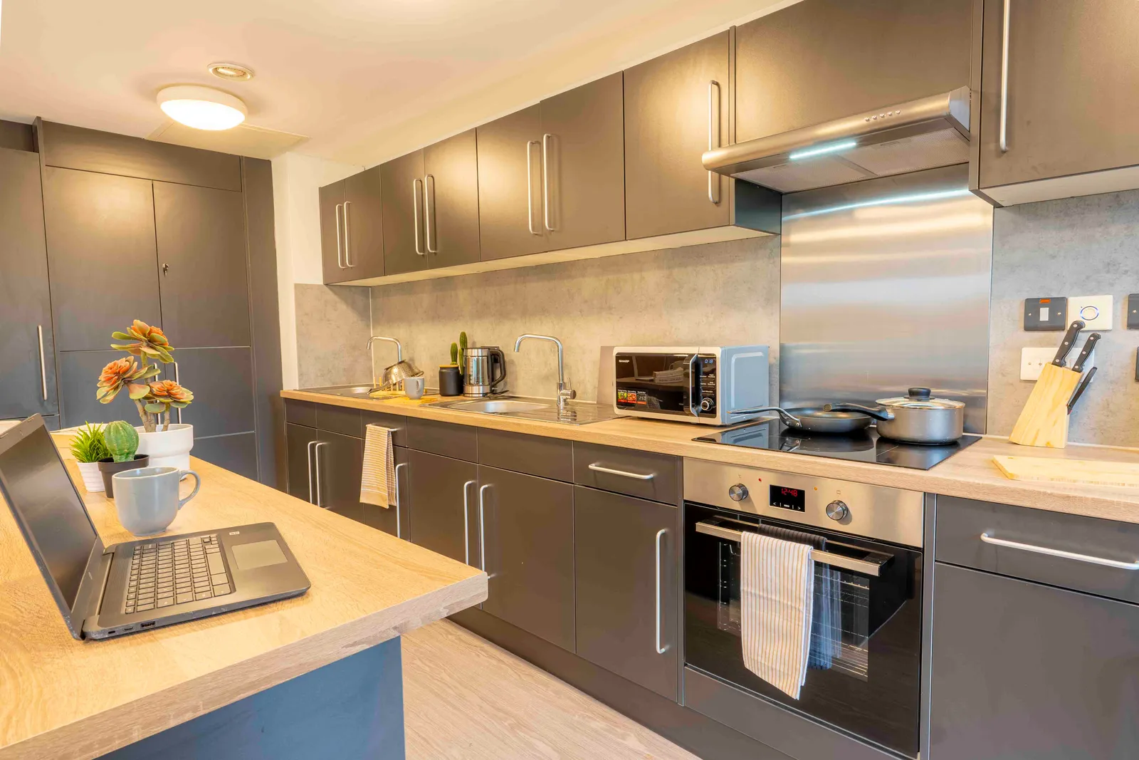 iQ Astor House photo 17