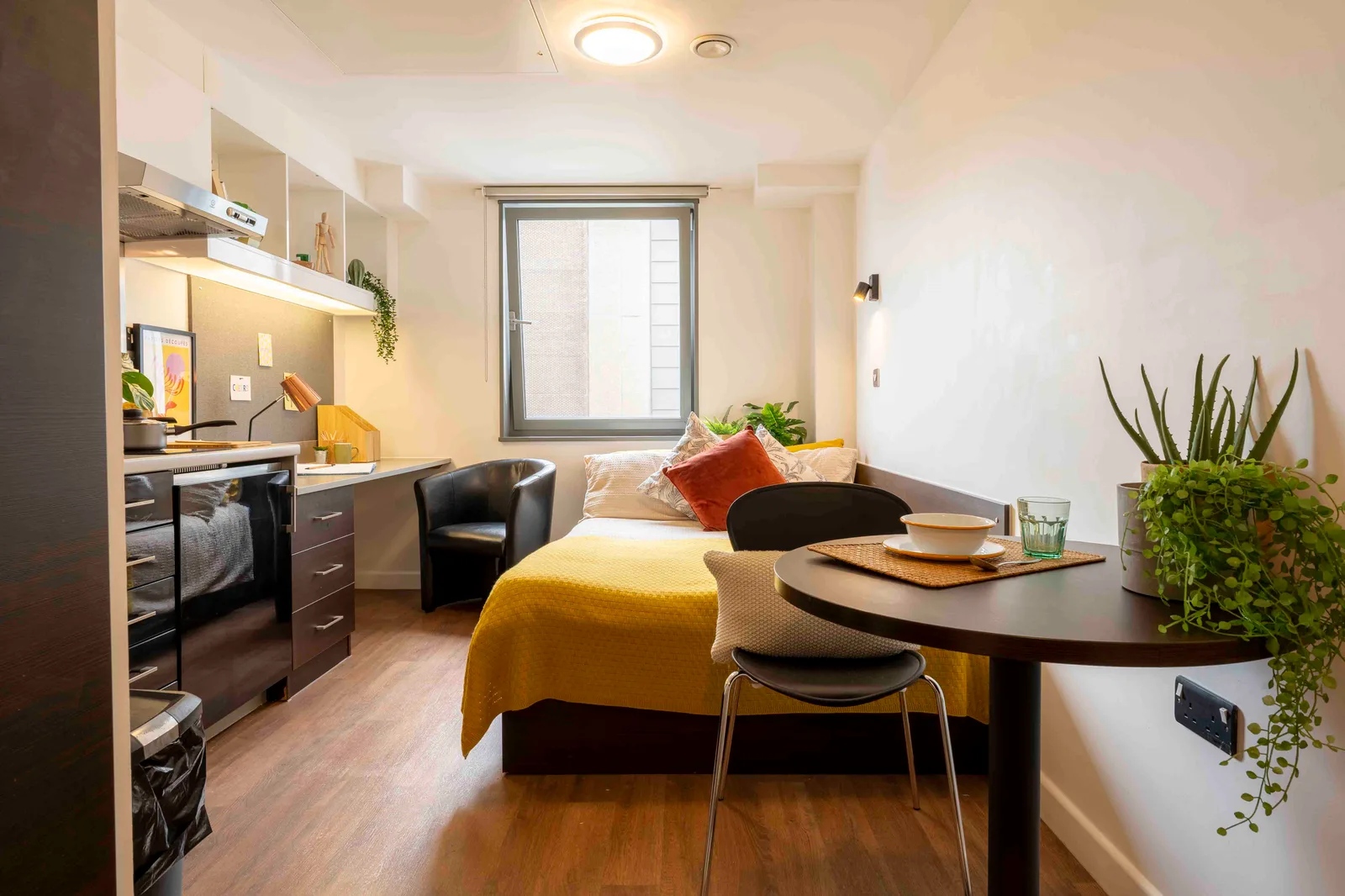 Silver Studio at iQ Astor House