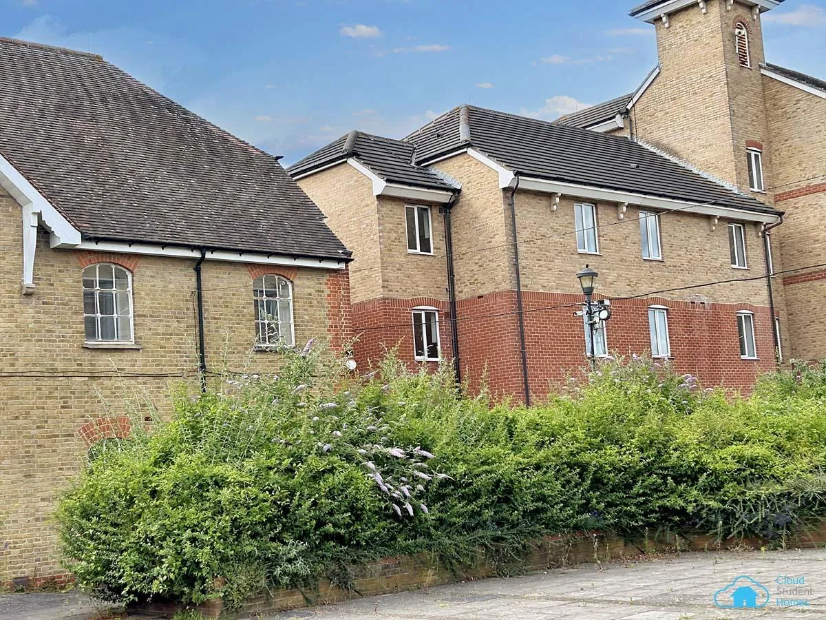 Rochester Student Village photo 5