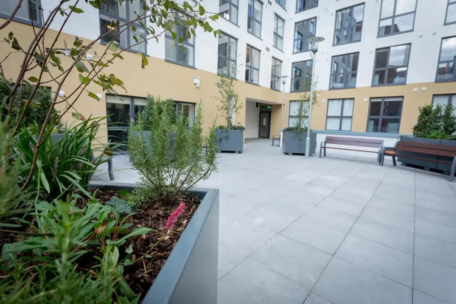 Grangegorman House photo 1