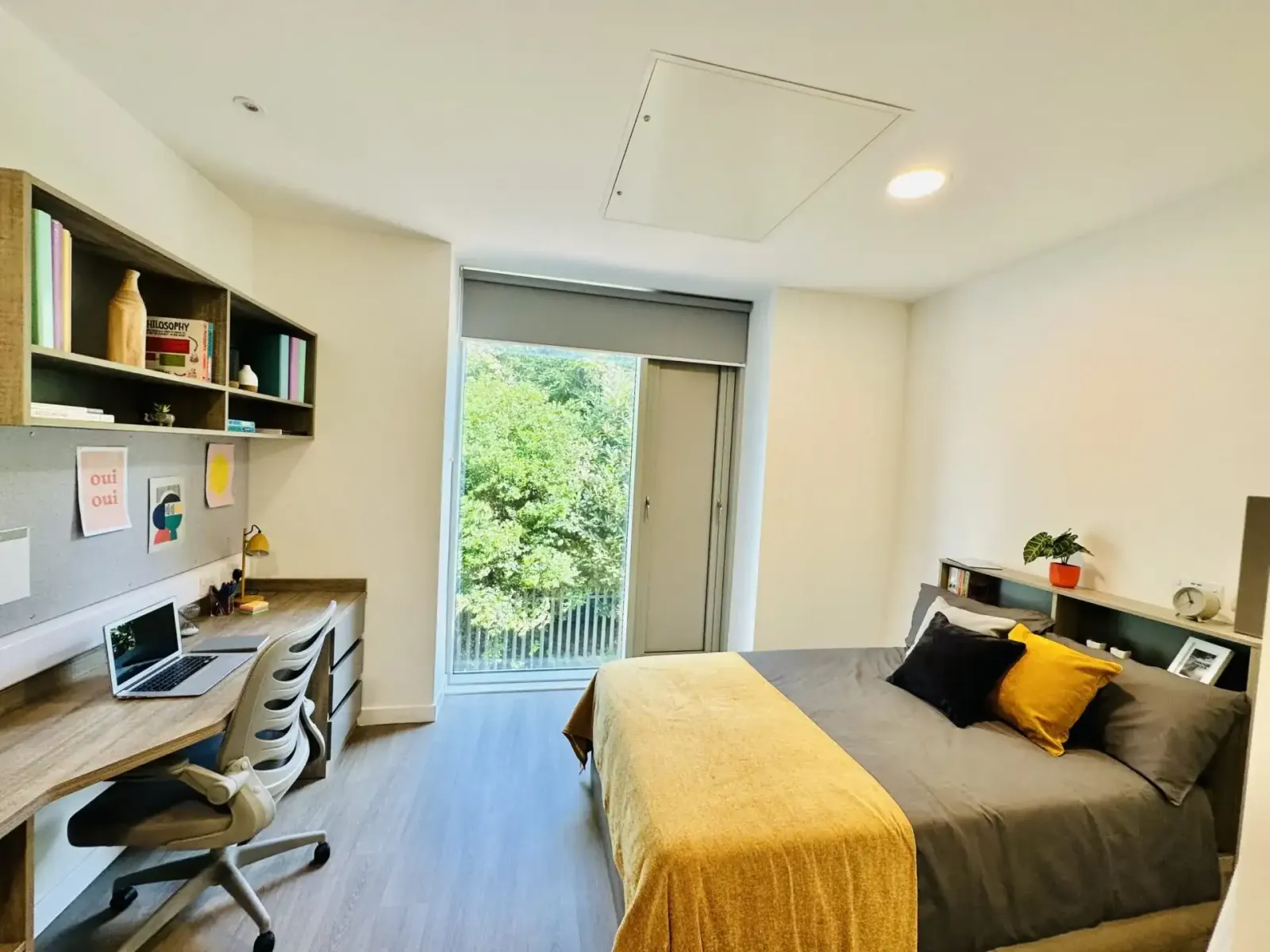 Albany Student Village photo 3