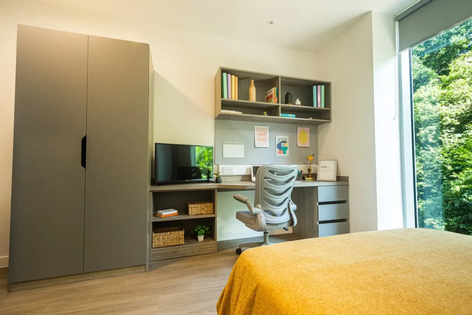 Albany Student Village photo 4