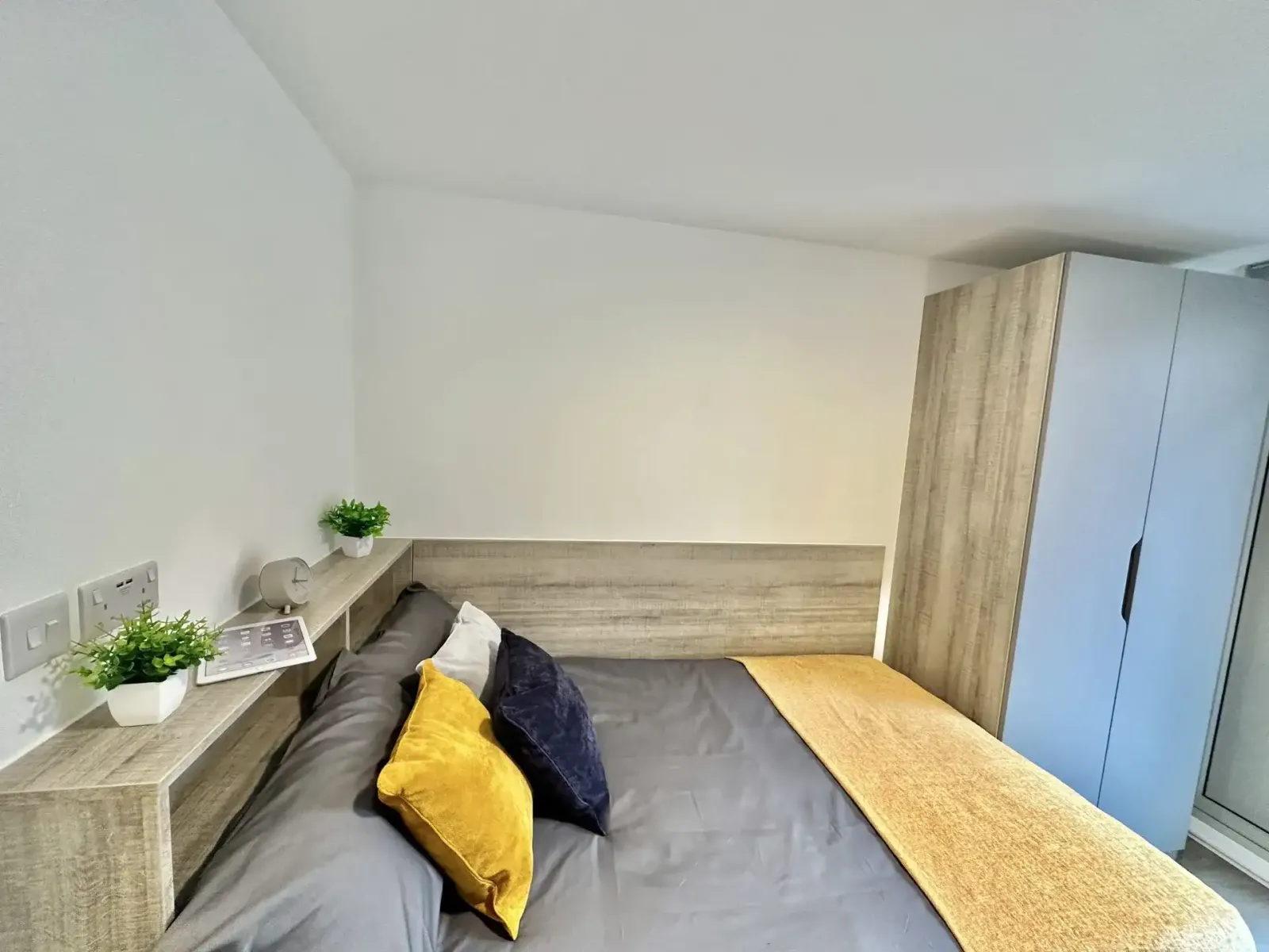 Albany Student Village photo 10