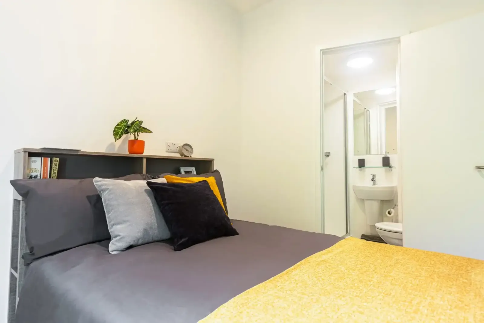 Albany Student Village photo 39