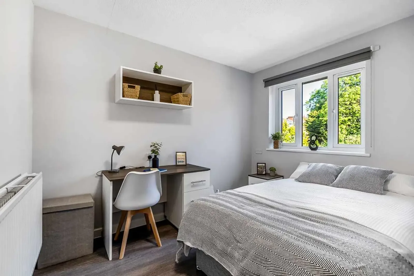 Premium En Suite at Singer Hall