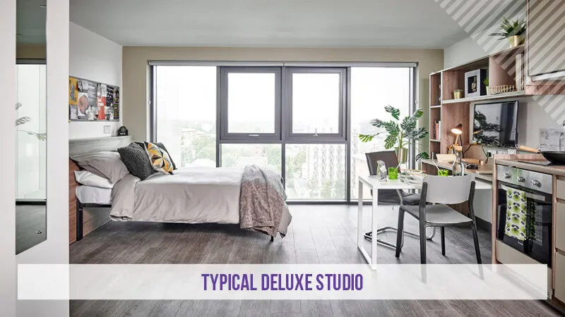 Deluxe Plus Studio at Trinity View