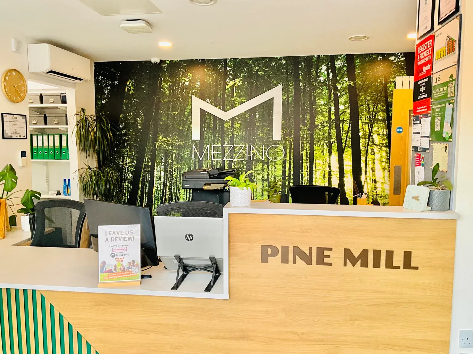 Pine Mill photo 8
