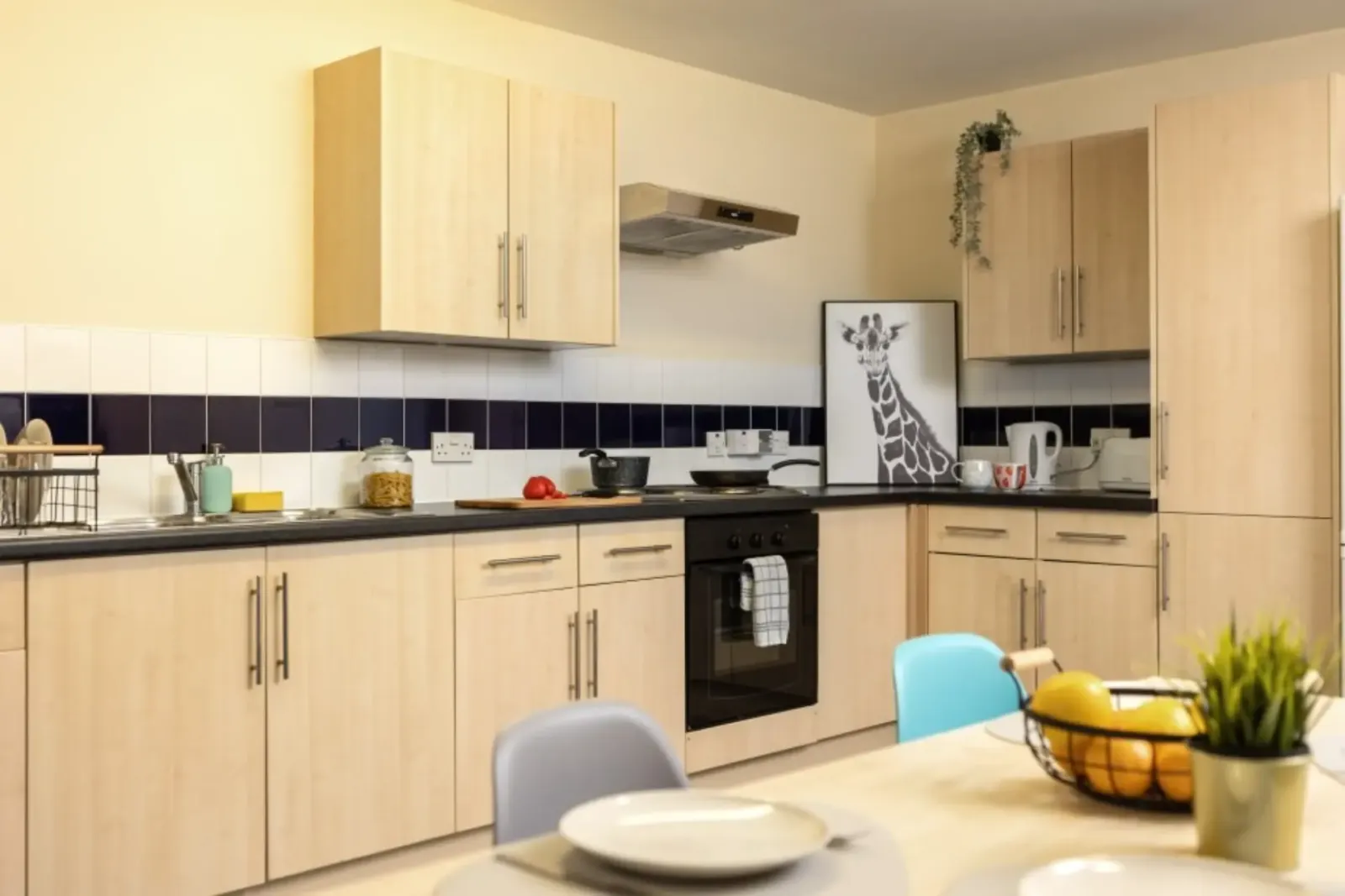 Newport Student Village photo 9