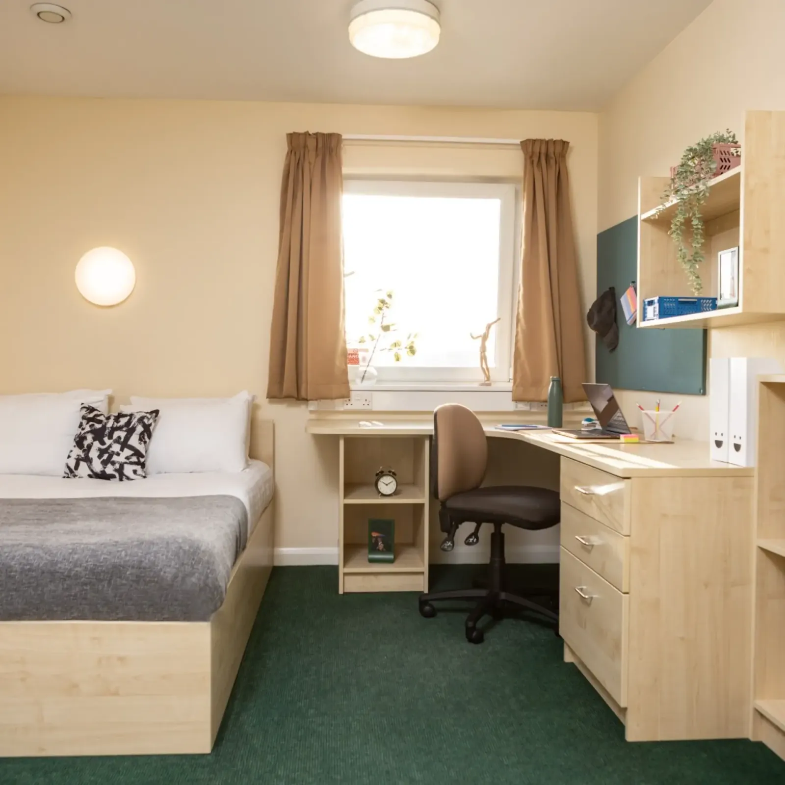 Newport Student Village photo 11