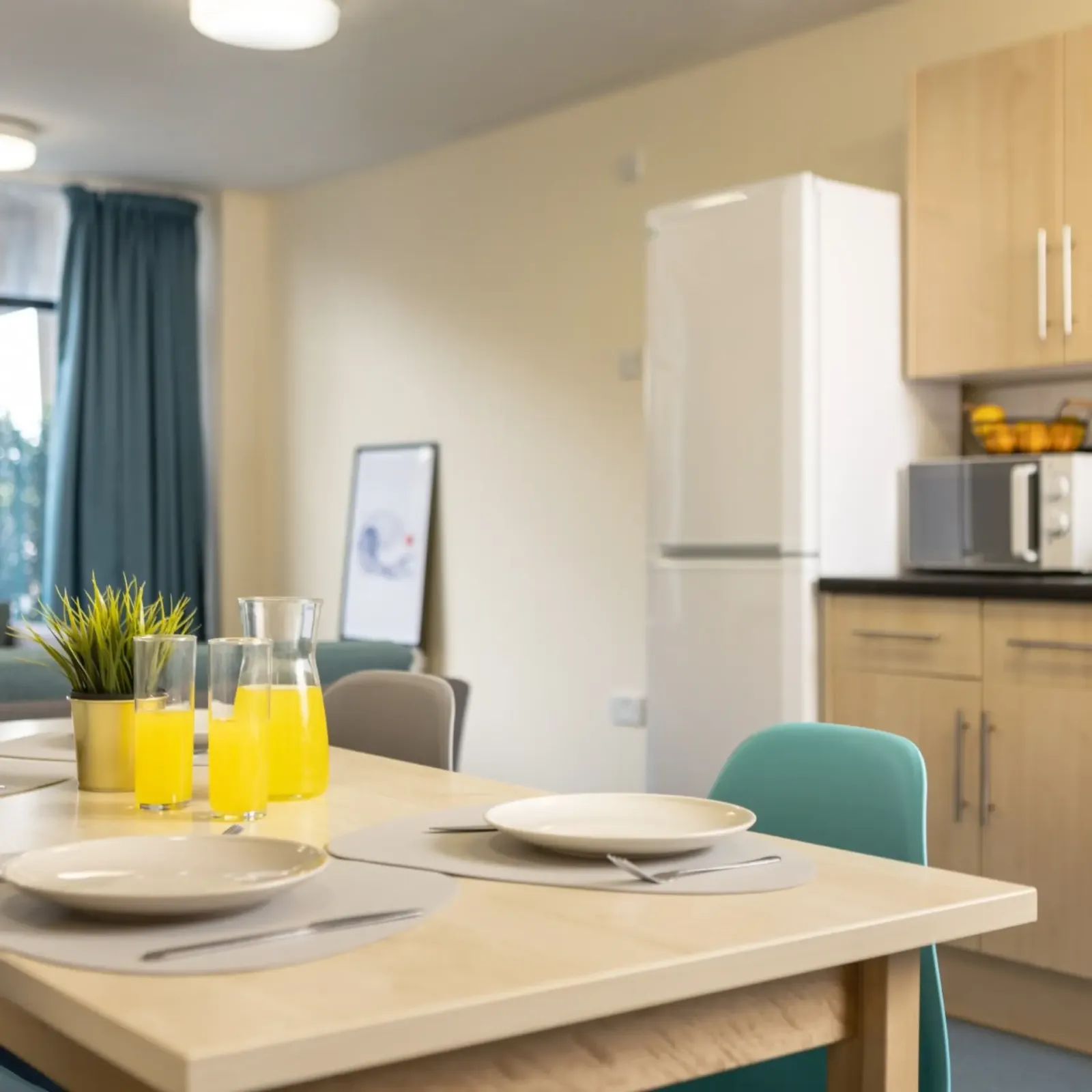 Newport Student Village photo 13