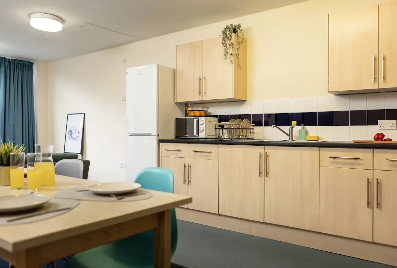 Newport Student Village photo 29