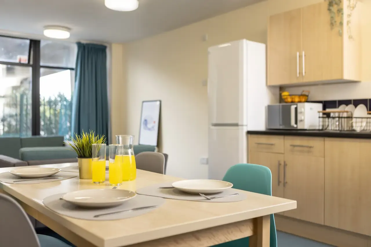 Newport Student Village photo 30