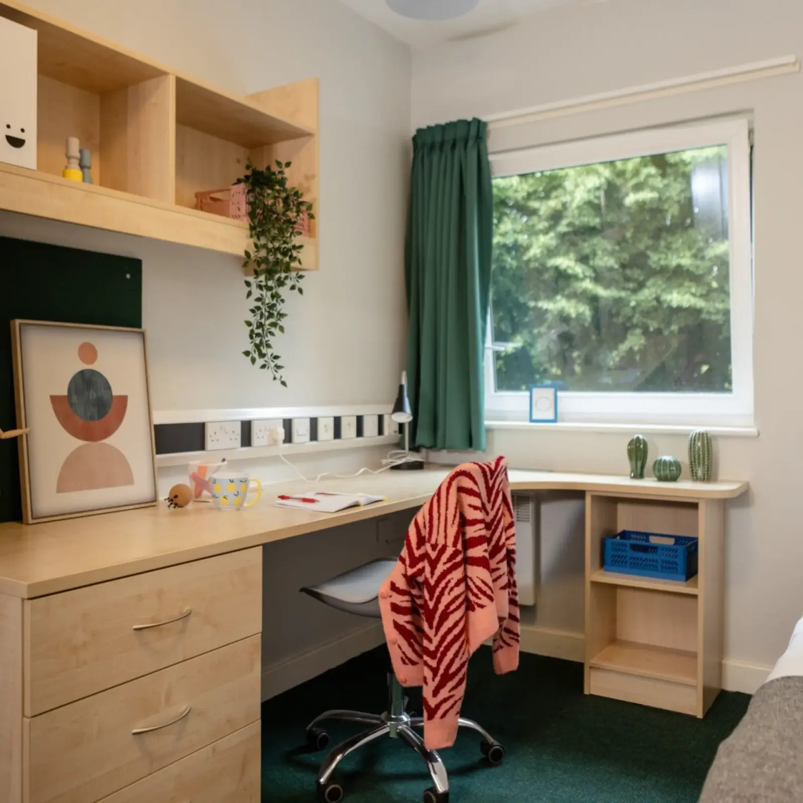 Bonington Student Village photo 8