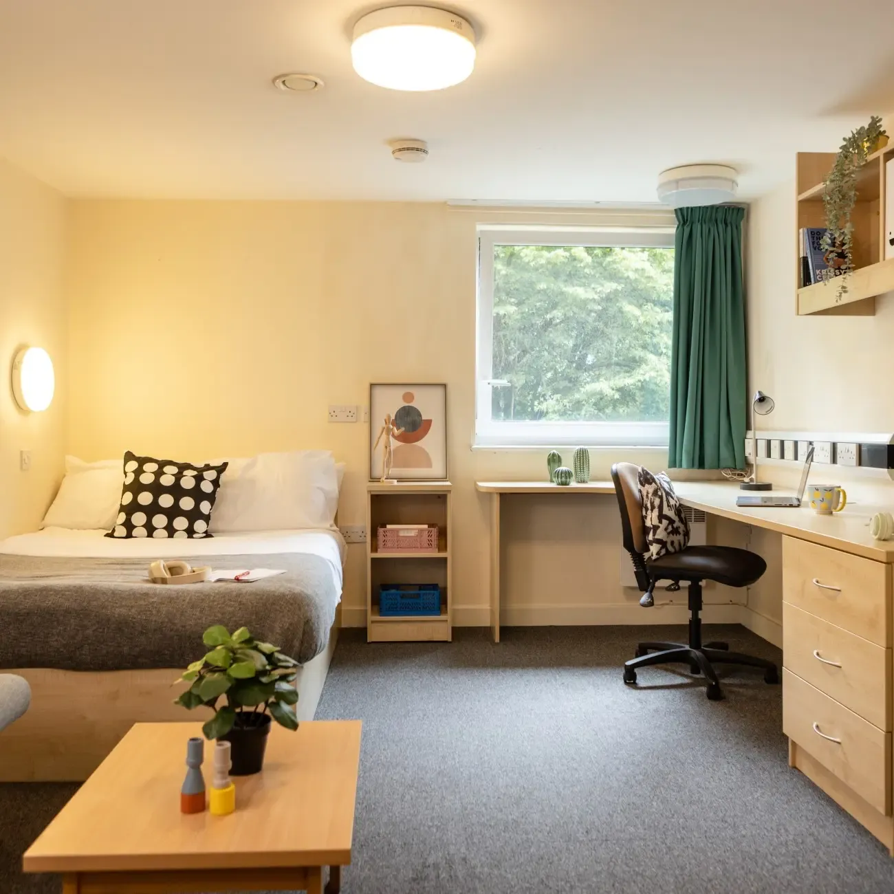Studio Apartment at Bonington Student Village