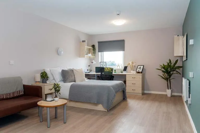 Gold Accessible Studio at North Court