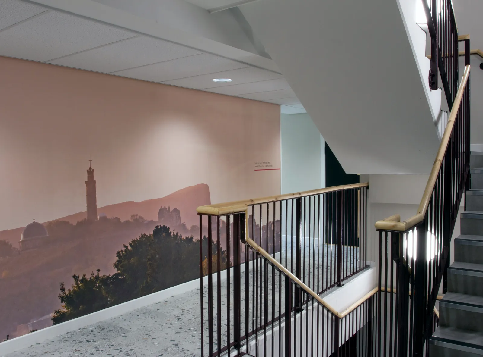 Parklands, Dundee | Book While You Can! photo 19