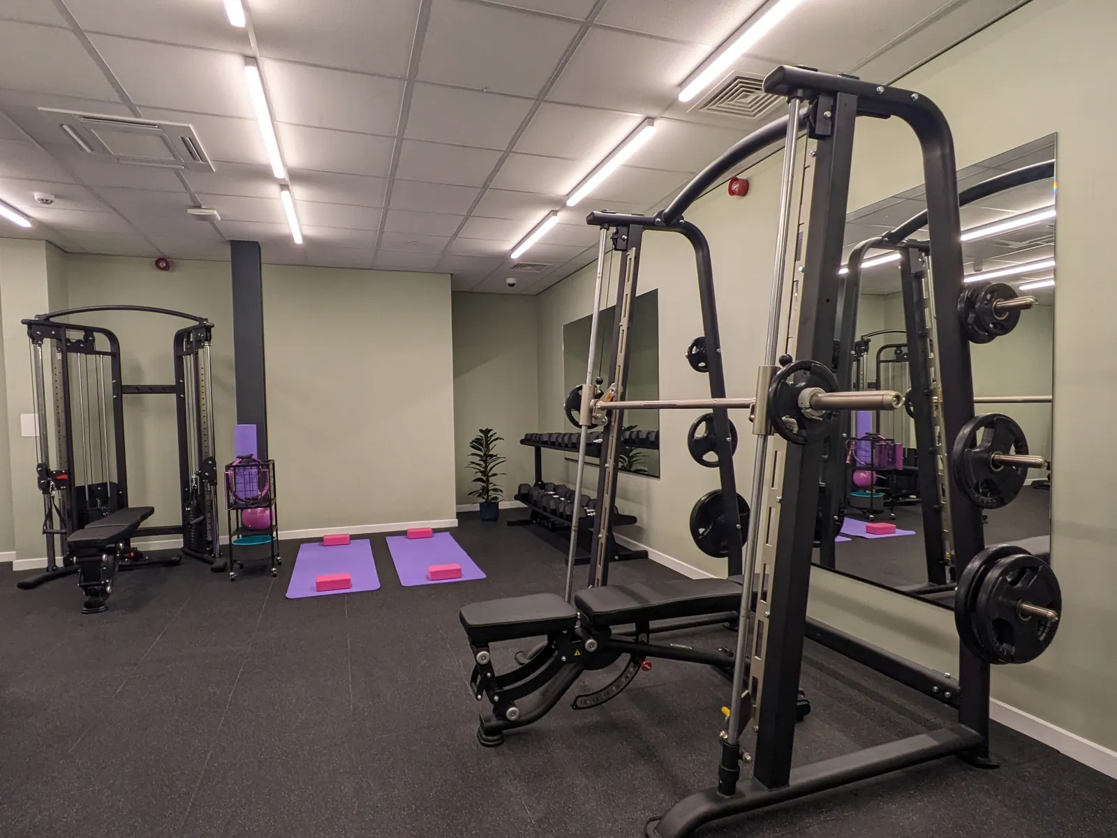 Parklands, Dundee | Book While You Can! photo 20