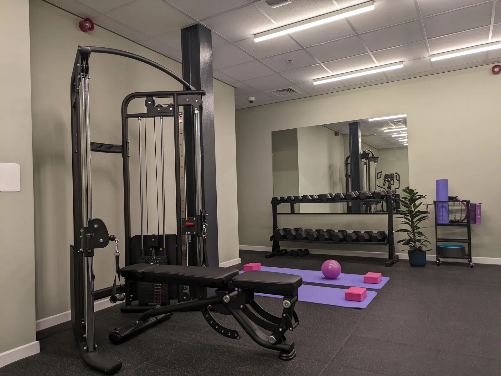 Parklands, Dundee | Book While You Can! photo 21