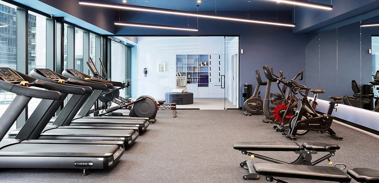 Scape Aurora photo 10