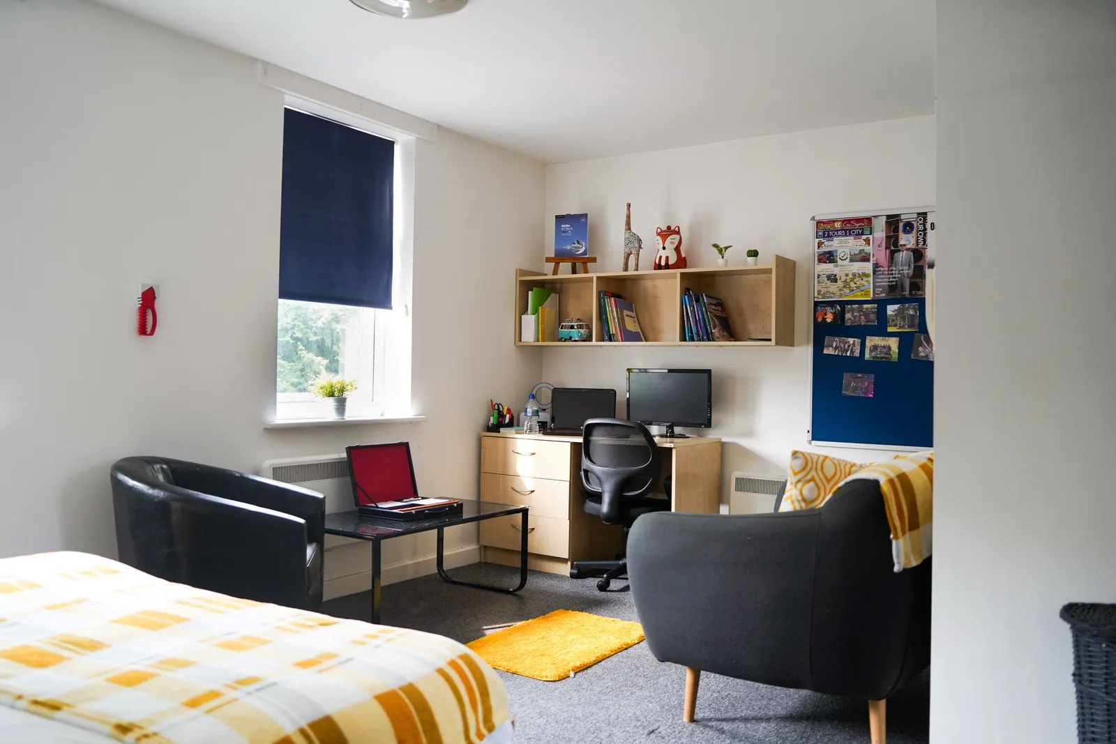 Myrtle Court photo 17