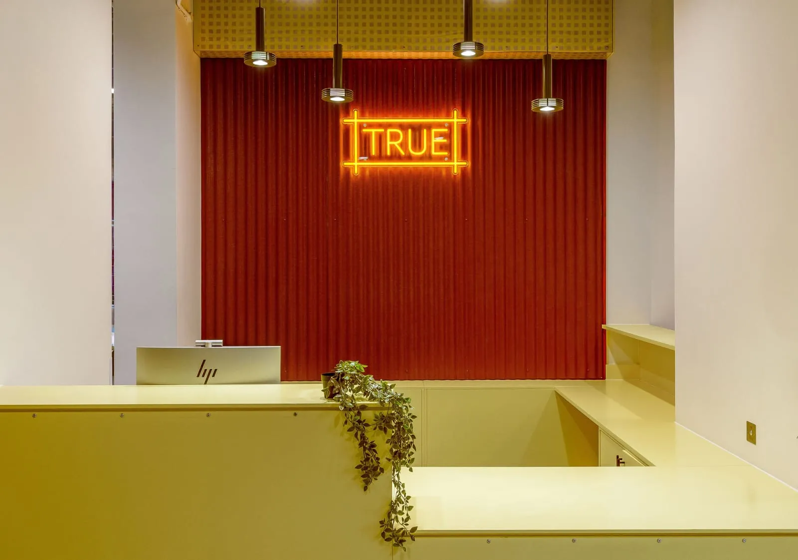 true student Sheffield photo 62