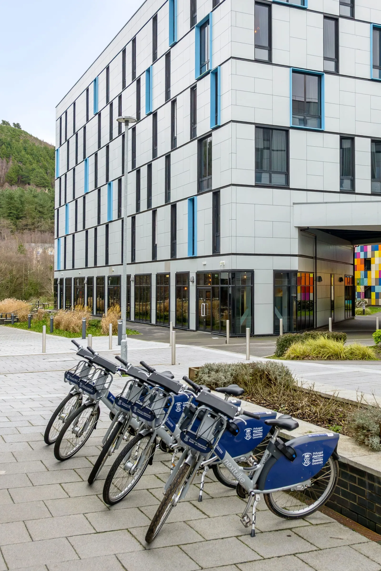 true student Swansea photo 26