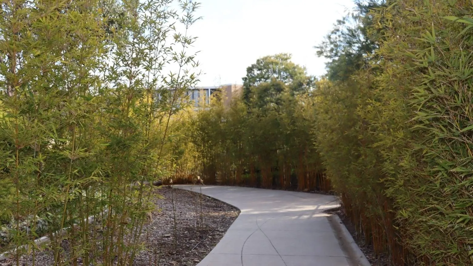 La Trobe University - Units photo 11