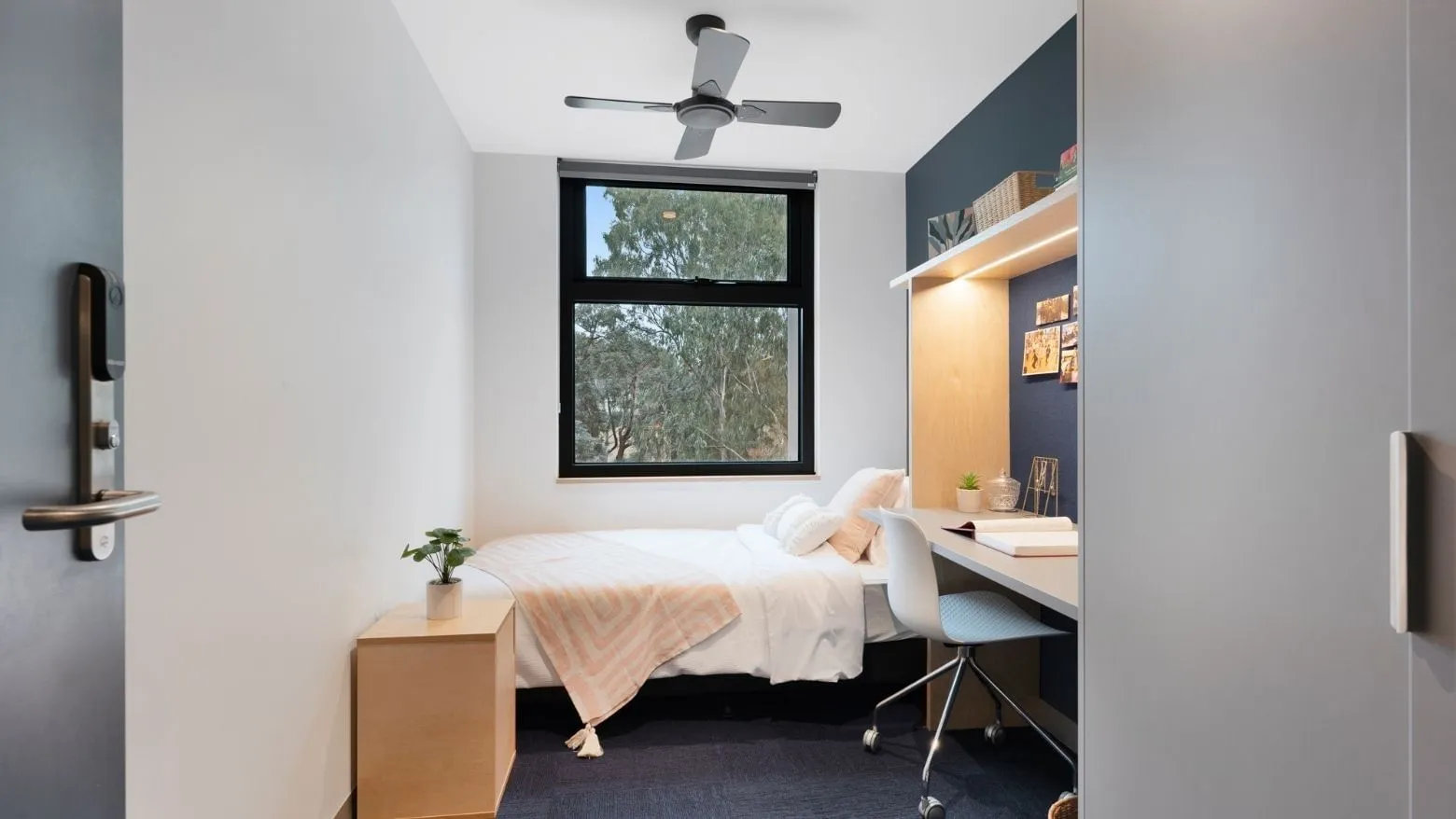La Trobe University - North and South Apartments photo 21