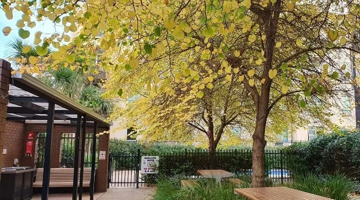 Student Living - 570 Lygon photo 14