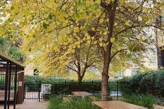 Student Living - 570 Lygon photo 29