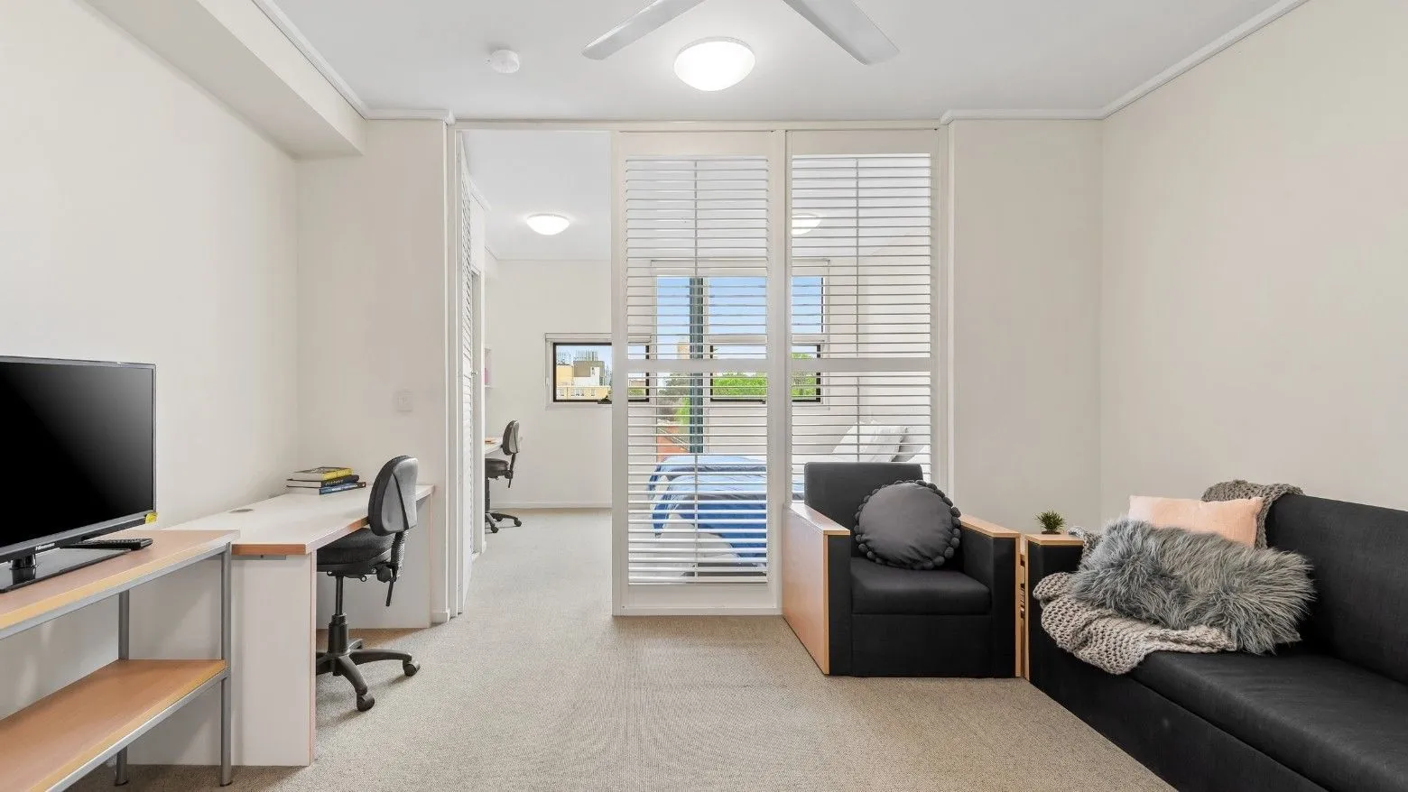 Student Living - 800 Swanston photo 3