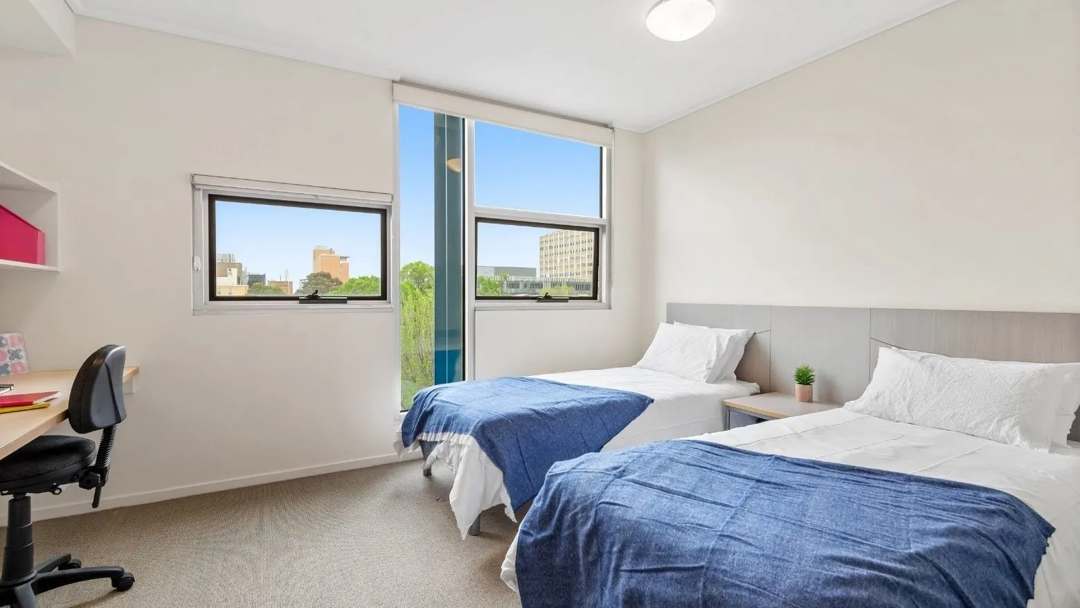 Student Living - 800 Swanston photo 5