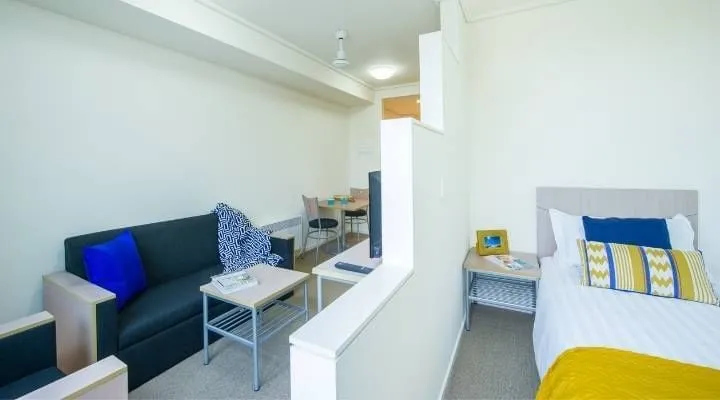Student Living - 800 Swanston photo 17