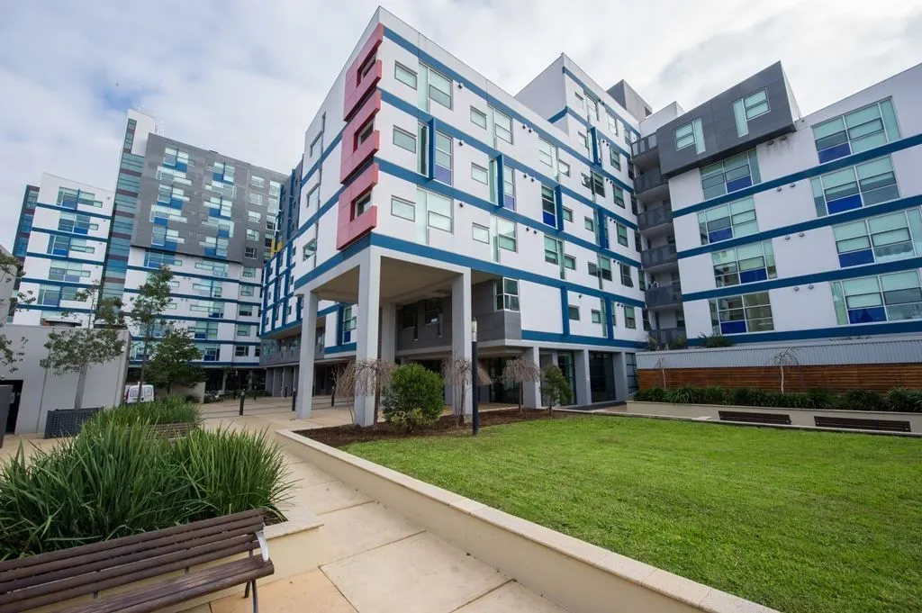 Student Living - 800 Swanston photo 25