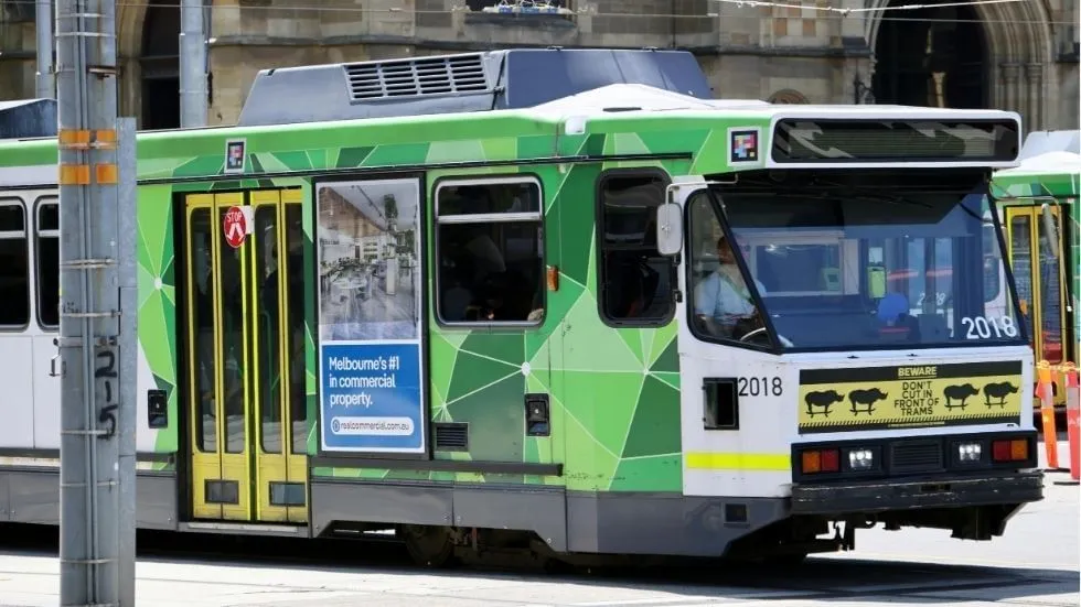 Indi Footscray photo 27