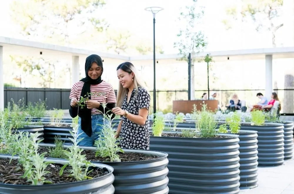 UniLodge at Curtin University - Twin Dolphin Hall photo 6