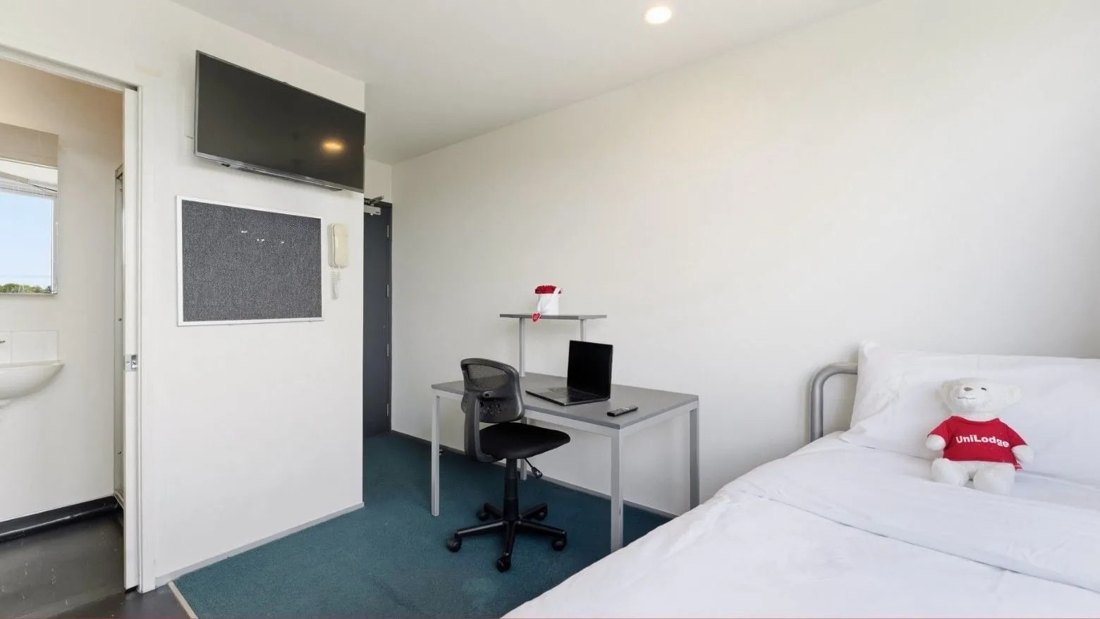 Student Living Auckland – Anzac photo 9