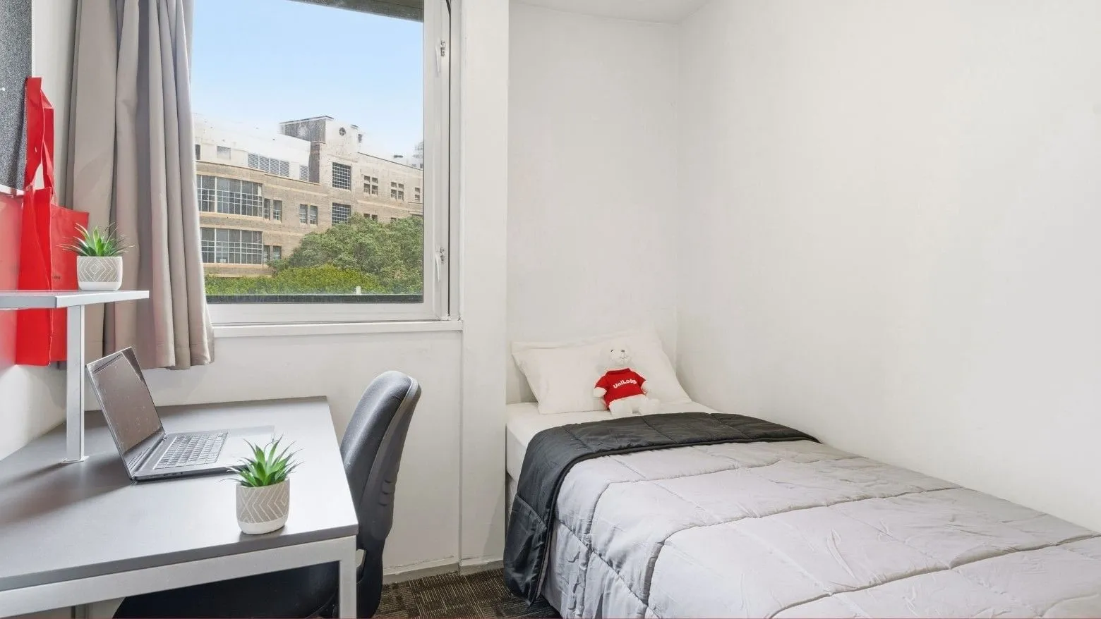 Student Living Auckland – Anzac photo 31