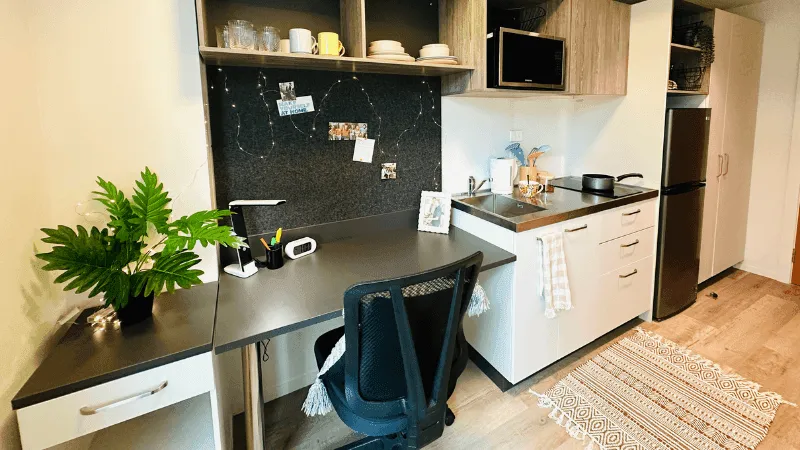 Mayoral Drive Student Accommodation photo 27