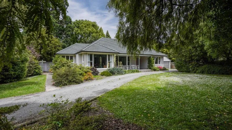 Campus Houses photo 12