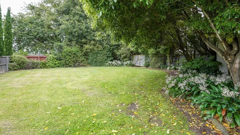 Campus Houses photo 22