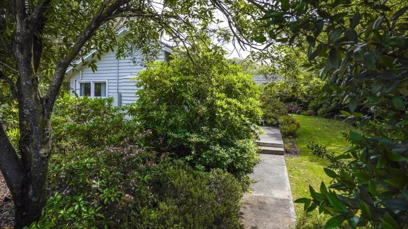 Campus Houses photo 42