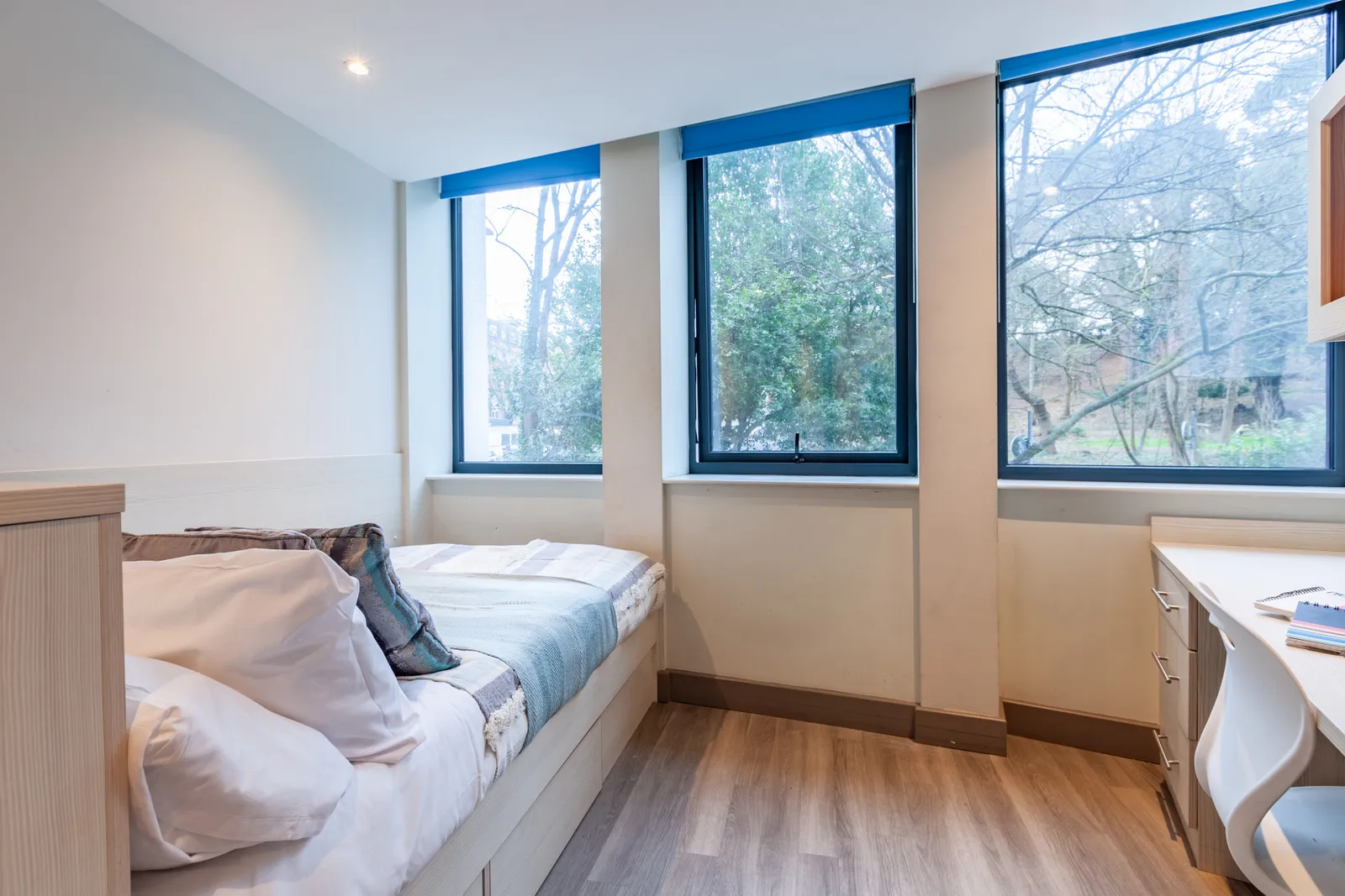 Mercury House photo 6